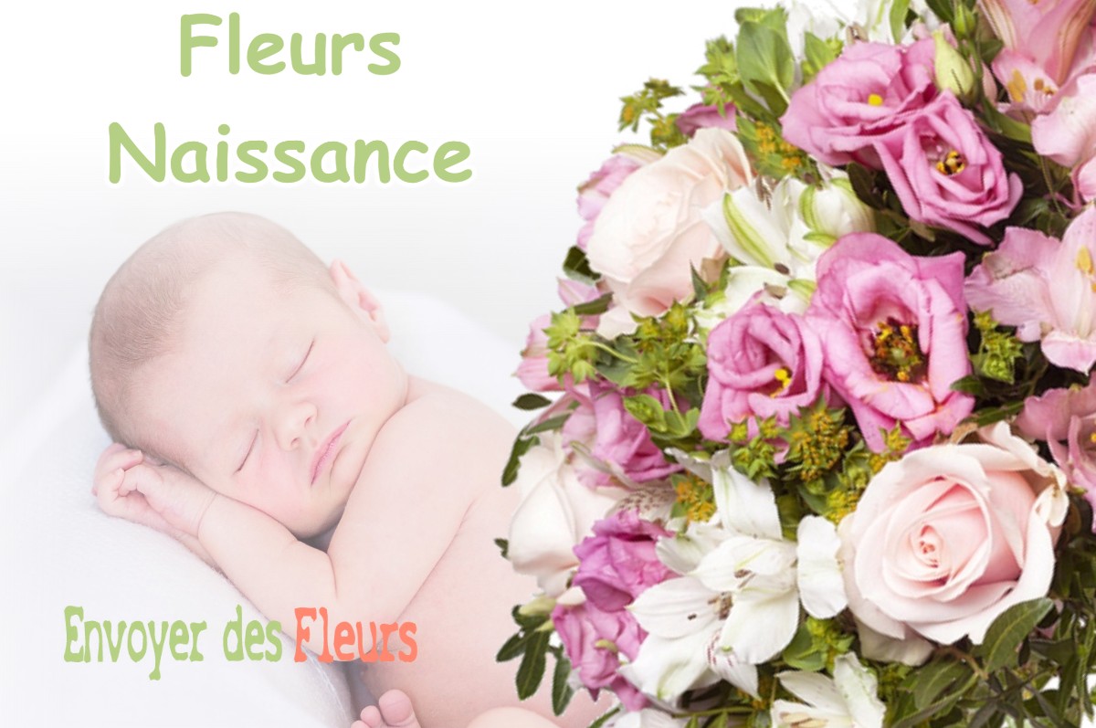 lIVRAISON FLEURS NAISSANCE à SAINTE-LIVRADE